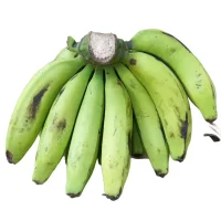 Fruits