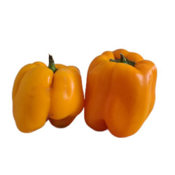 Yellow peppers